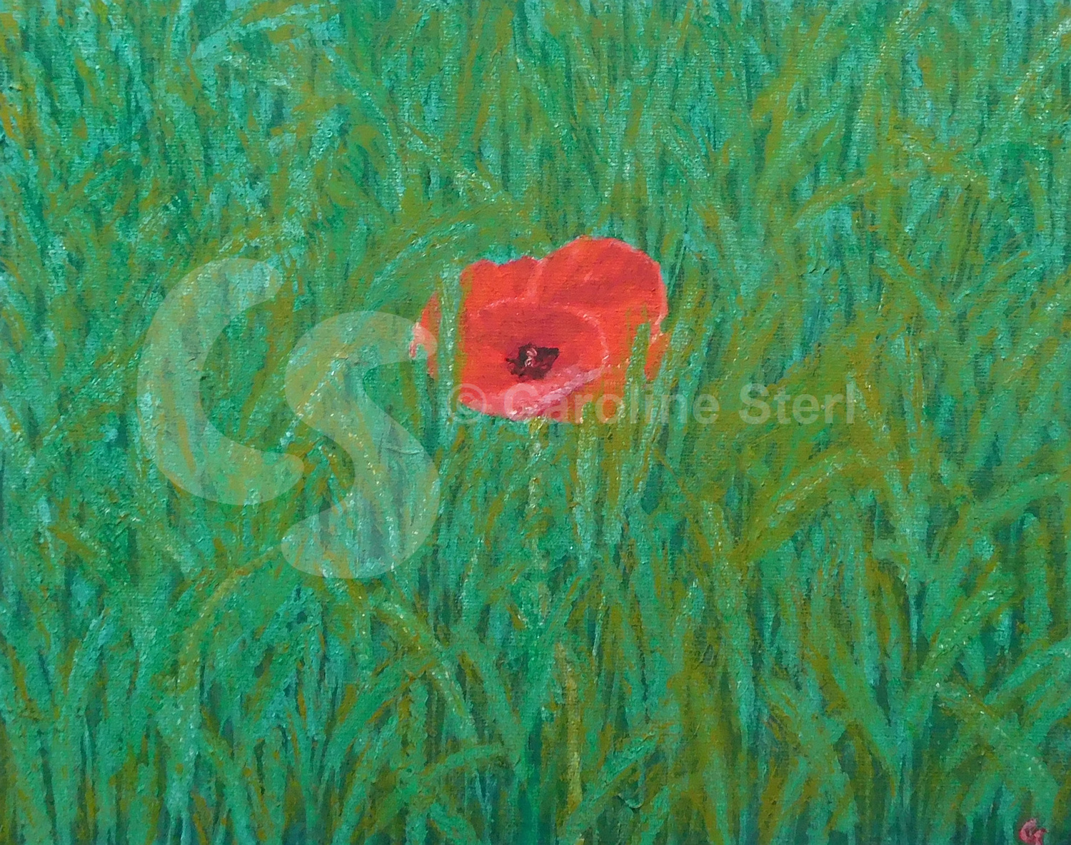 Painting: Just one Poppy